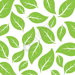 飞叶标志矢量树叶绿色植物生态插图墙纸季节白色草本叶子背景图片