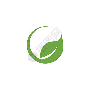 叶标志模板矢量符号环境绿色插图生态植物装饰品生长叶子生物背景图片
