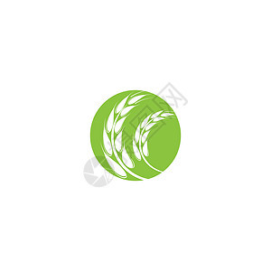 小麦 Logo 模板矢量符号标识面包粮食农场种子营养农业谷物收成食物图片