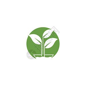 叶标志模板矢量符号生物叶子环境生长插图装饰品绿色生态植物背景图片