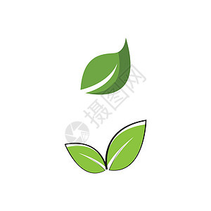 叶标志模板矢量符号装饰品环境植物生物叶子生长绿色生态插图背景图片