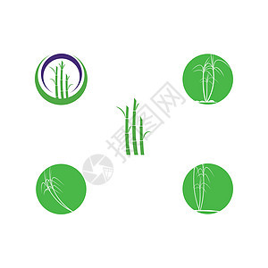 设置甘蔗标志模板矢量符号场地种植园生物植物农业地球标识食物插图白色背景图片