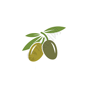橄榄图标矢量图树叶食物包装水果农业叶子生态插图烹饪标识图片