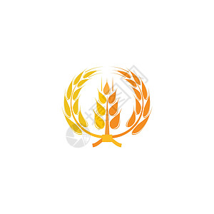 小麦 Logo 模板矢量符号标识营养食物种子耳朵植物农场谷物面包农业图片