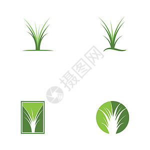 组的草标志 vecto叶子生态芦荟环境标识生长商业插图绿色创造力图片