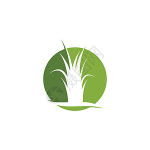草标志 vecto插图生长创造力环境圆形标识生态绿色商业叶子图片