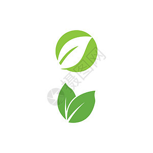 叶标志模板矢量符号植物叶子生长环境绿色生态插图生物装饰品背景图片