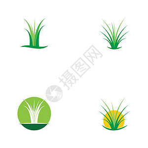 组的草标志 vecto环境绿色插图芦荟叶子标识商业植物生长生态图片