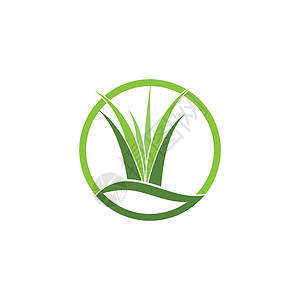 草标志 vecto芦荟植物花园生长商业创造力绿色标识插图叶子图片