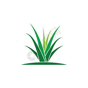 草标志 vecto芦荟圆形绿色植物商业叶子标识创造力插图生长图片