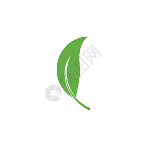 叶标志模板矢量符号装饰品生物叶子插图绿色生态生长环境植物背景图片