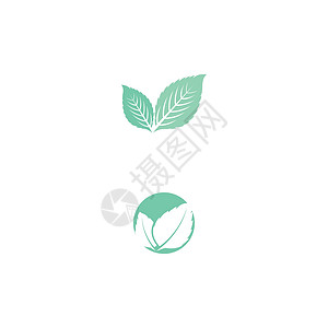 叶薄荷标志模板矢量符号食物薄荷绿色香气艺术白色草本草本植物植物药品图片