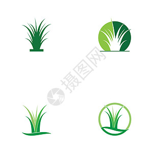 组的草标志 vecto花园商业植物叶子圆形芦荟环境标识生态绿色图片