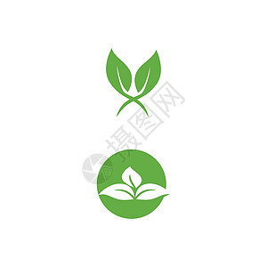 叶标志模板矢量符号生物装饰品叶子环境插图生态生长绿色植物背景图片