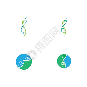 设置 Dna 徽标模板 vecto公司技术染色体细胞基因遗传生物药品健康化学图片