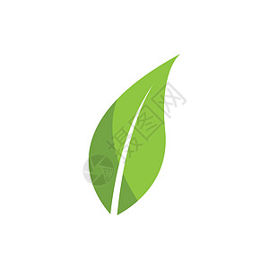 叶标志矢量图标设计模板身份商业环境植物生长标识生物艺术生活插图图片