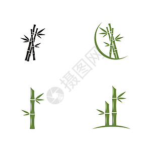 带有绿叶矢量图标模板的竹标志温泉木头商业绿色植物草本叶子艺术热带白色图片