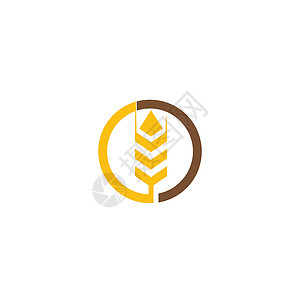 小麦 Logo 模板矢量符号营养粮食植物种子面包标识收成耳朵生长谷物图片