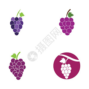 它制作图案的葡萄标志模板矢量图标集黑色葡萄属叶子葡萄园植物网站农场紫色浆果桌子图片