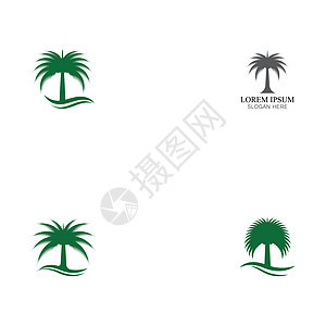 设置日期树徽标模板矢量符号海滩食物叶子水果棕榈植物热带黑色白色旅行图片