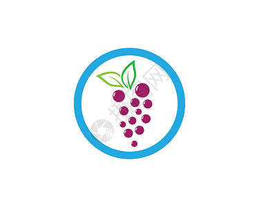 葡萄标志模板黑色美味桌子植物农场紫色插图葡萄园食物果汁图片
