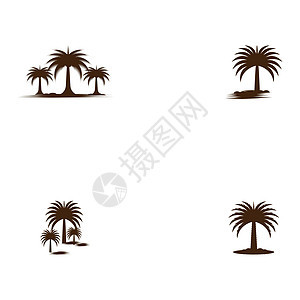 设置日期树徽标模板矢量符号植物白色海滩叶子食物热带黑色旅行水果棕榈图片