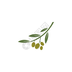 它制作图案橄榄徽标模板矢量图标农场收成标签季节标识叶子食物处女插图饮食图片