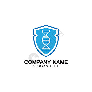 Dna 盾牌标志图标设计vecto生活实验室药品服务科学徽章安全商业螺旋蓝色图片