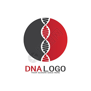 Dna 矢量标志设计模板 现代医学标识 实验室科学图标符号 彩色药理学标志vecto插图生物螺旋基因身份化学生物学代码细胞染色体图片