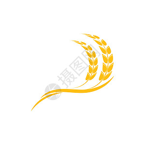 战队LOGO小麦 Logo 模板矢量符号植物谷物食物标识面包农场粮食农业种子营养插画