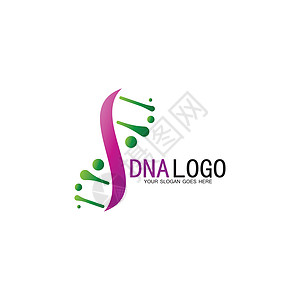 Dna 矢量标志设计模板 现代医学标识 实验室科学图标符号 彩色药理学标志vecto生物研究基因化学细胞技术代码染色体公司生活图片