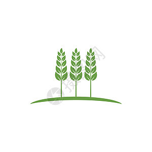 叶标志模板矢量符号生物生长叶子插图装饰品绿色环境植物生态背景图片