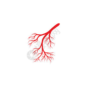 人体静脉和动脉插图设计解剖学眼睛宏观曲线医疗血管红色标识药品眼球图片