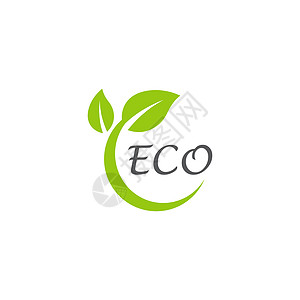 叶生态标志模板 vecto生活叶子白色绿色植物环境网络插图背景图片
