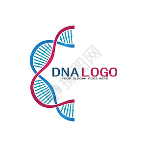 Dna 矢量标志设计模板 现代医学标识 实验室科学图标符号 彩色药理学标志vecto生物学公司技术研究插图生物基因组代码染色体生图片