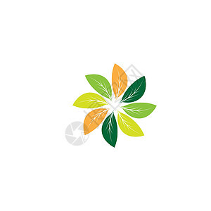 设置太阳矢量图图标徽标模板设计装饰品环境绿色生长生物植物插图叶子生态图片