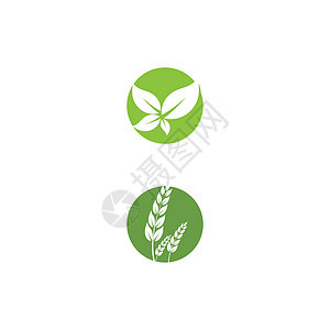 叶标志模板矢量符号插图装饰品叶子生物环境植物生长绿色生态背景图片