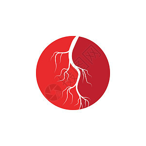 人体静脉和动脉插图设计医疗生物学曲线血管红色眼睛药品解剖学眼球标识图片