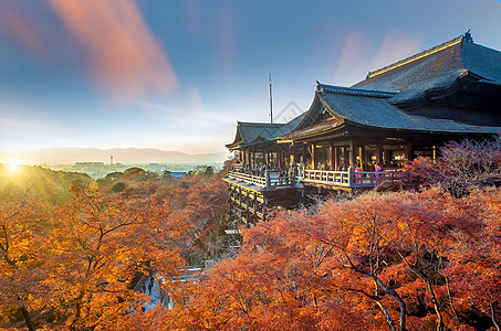 日本京都京都天际和京都清宗津寺庙秋色图片