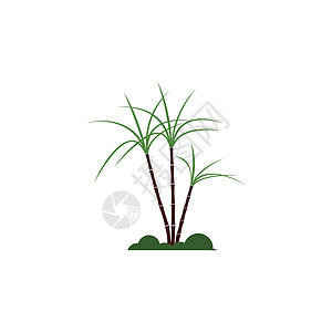 甘蔗 Logo 模板矢量符号贴纸果汁食物标签插图植物产品横幅棕榈叶子图片