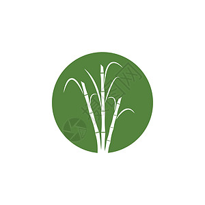 甘蔗 Logo 模板矢量符号叶子标签果汁横幅生物标识贴纸热带插图产品图片