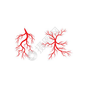 人体静脉和动脉插图设计解剖学宏观血管生物学标识曲线红色药品眼球医疗背景图片