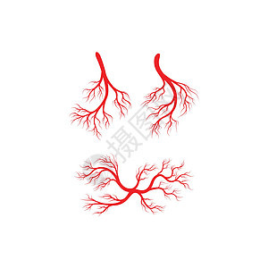 人体静脉和动脉插图设计眼睛生物学宏观眼球红色医疗解剖学药品曲线标识背景图片