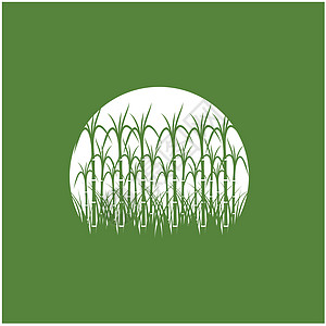 甘蔗 Logo 模板矢量符号绿色叶子标签热带收成棕榈果汁生物产品食物图片