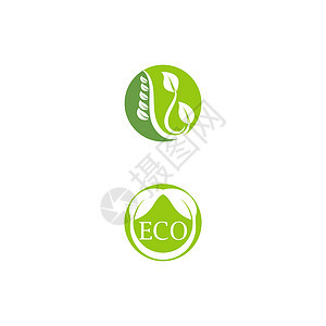 叶生态标志模板 vecto绿色生活插图环境叶子植物白色网络背景图片