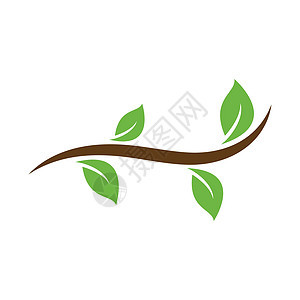 树叶生态自然元素 vecto平衡绿色标志环境品牌回收企业艺术生物商业图片
