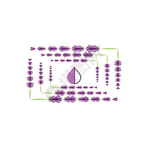 薰衣草 Logo 模板矢量符号草本植物紫色花束植物白色花园香气疗法芳香叶子图片