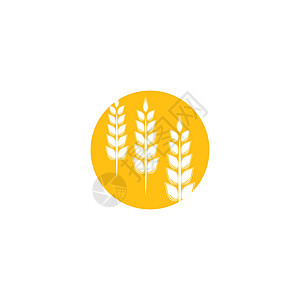 小麦 Logo 模板矢量符号农业植物食物种子农场耳朵营养生长粮食面包图片