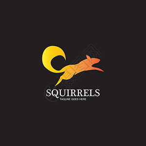 创意松鼠动物标志设计图标符号插图vecto网络公司艺术绘画栗鼠吉祥物坚果软件动物园野生动物图片