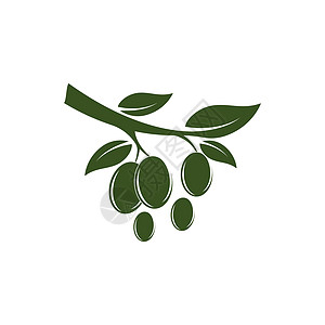 它制作图案橄榄徽标模板矢量图标季节食物生态插图收成标签饮食叶子处女农场图片